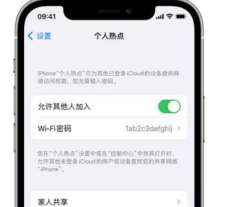 江源apple服务站点分享iPhone上个人热点丢失了怎么办 