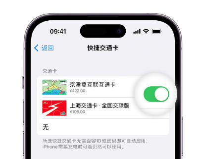 江源apple维修点分享iPhone上更换Apple Pay快捷交通卡手绘卡面 