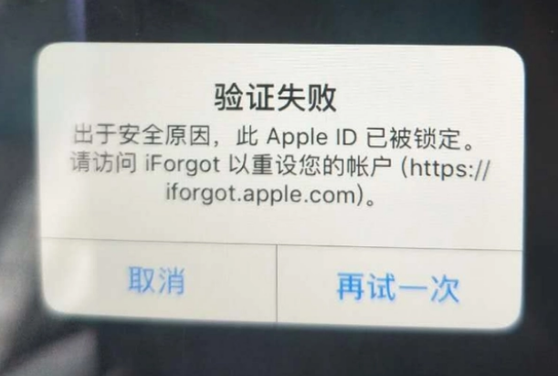 江源iPhone维修分享iPhone上正常登录或使用AppleID怎么办 