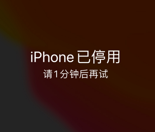 江源苹果手机维修分享:iPhone 显示“不可用”或“已停用”怎么办？还能保留数据吗？ 