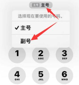 江源苹果14维修店分享iPhone 14 Pro Max使用副卡打电话的方法 