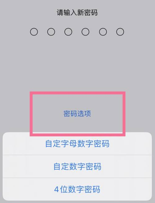 江源苹果14维修分享iPhone 14plus设置密码的方法 