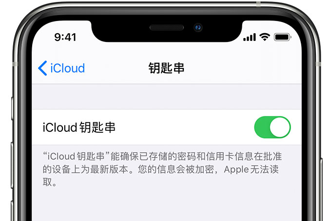 江源苹果手机维修分享在 iPhone 上开启 iCloud 钥匙串之后会储存哪些信息 