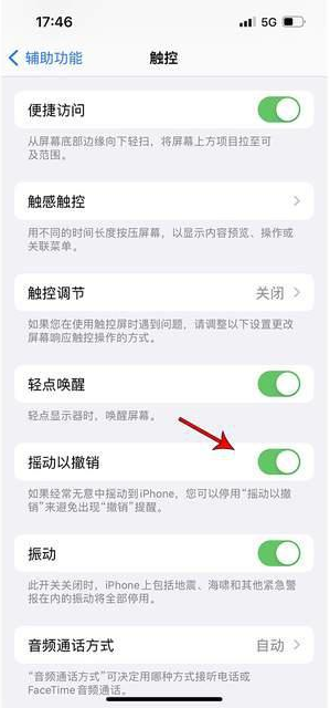 江源苹果手机维修分享iPhone手机如何设置摇一摇删除文字 